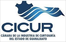 CICUR