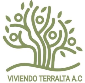 Captura de pantalla 2026-01-26 110519